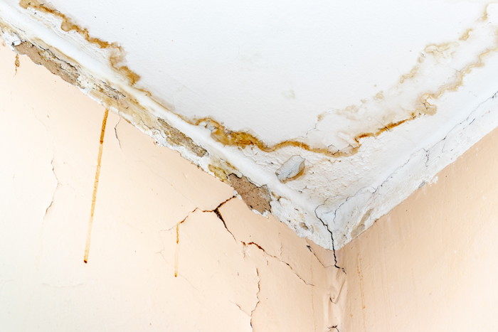 A moldy ceiling with water damage and mold - Disaster clean-up and restoration services