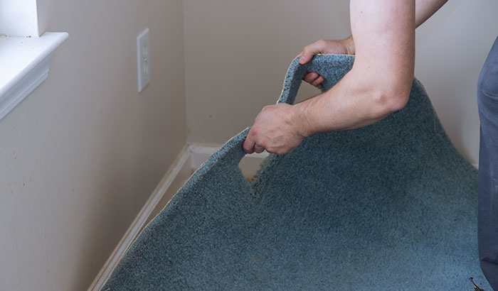 Replacing Carpet After a Flood: What You Need to Know