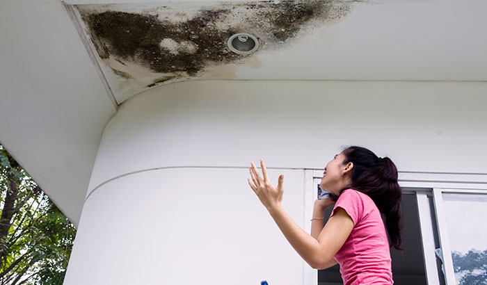 Here’s What Happens When Water Damage Goes Unaddressed
