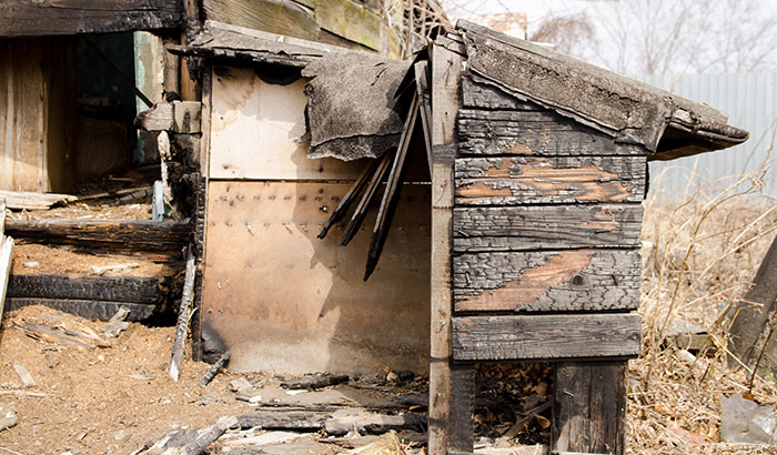 Here's What to Expect With the Fire Restoration Process