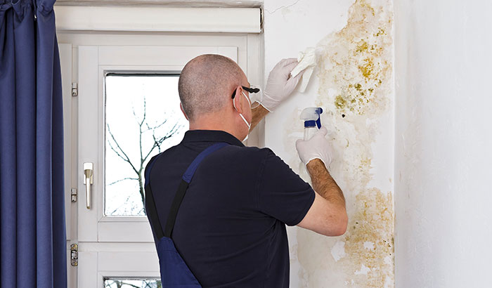 Can Mold Make You Sick?