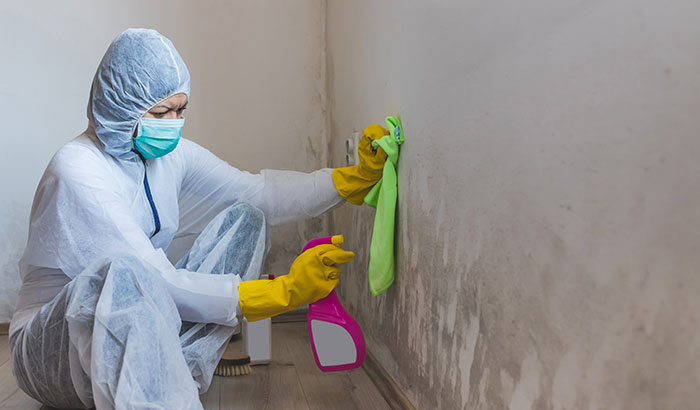 Negative Health Effects of Mold: What You Need to Know