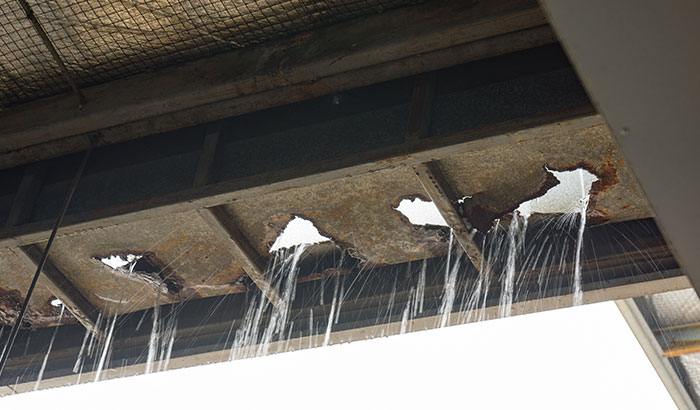 Here's What To Do When Your Roof is Leaking