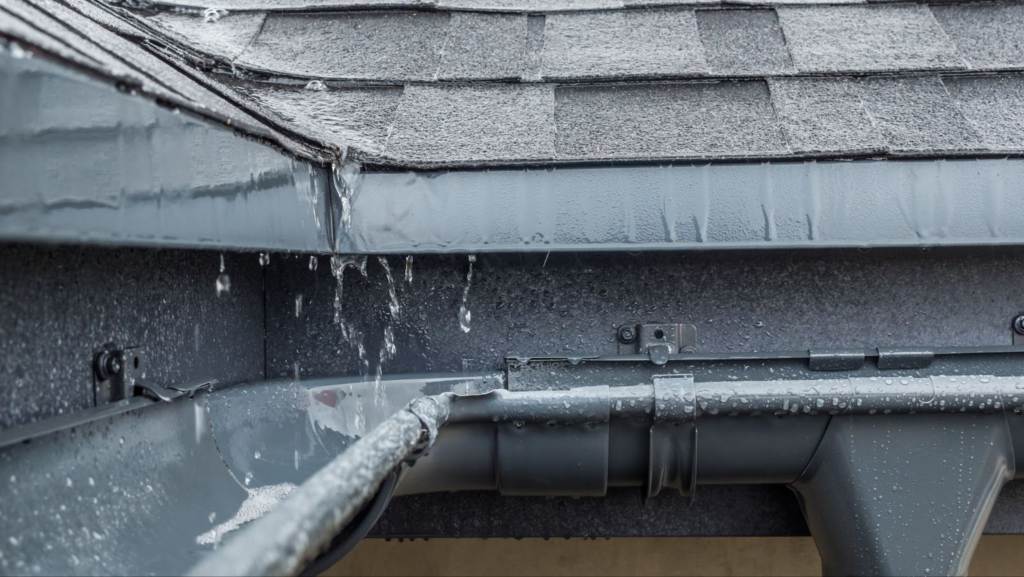 Water Damage: What To Do When Your Roof is Leaking?