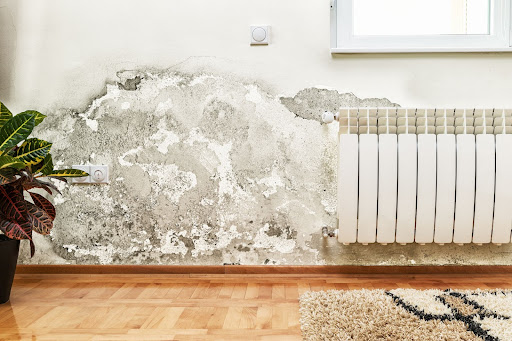 What Is the Biggest Thing That Water and Mold Damage Have in Common?