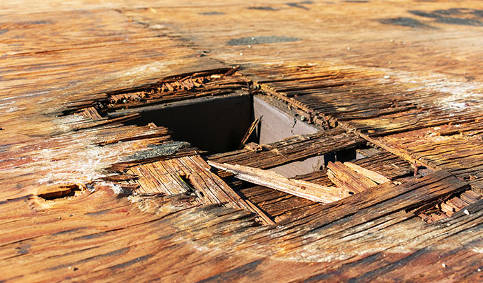 Water Damage Wood Repair: Here's What You Need to Know