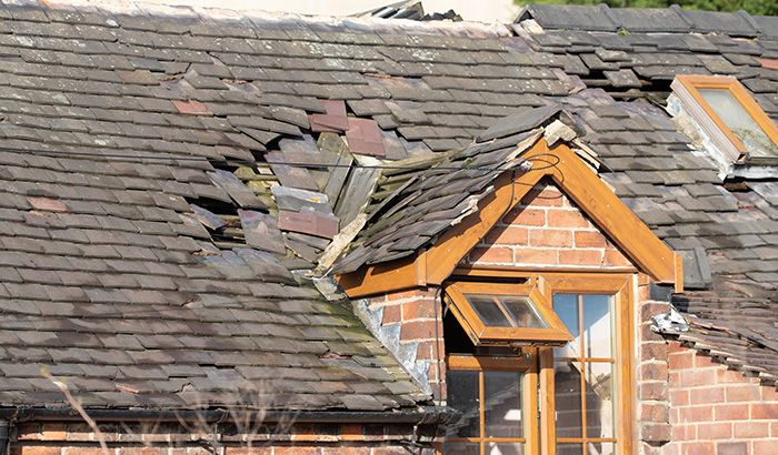 5 Steps To Take if Your Home Has Storm Damage
