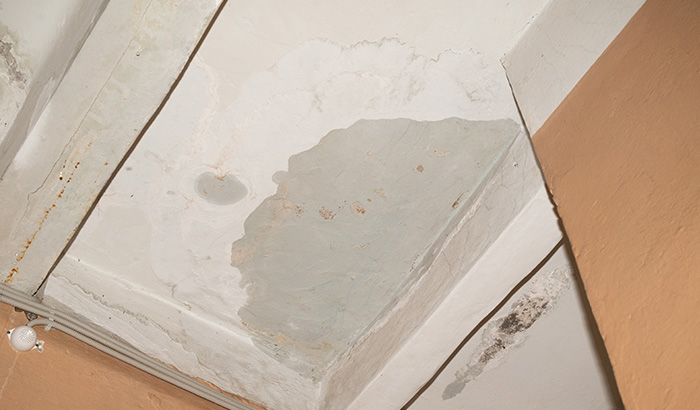 Mold in Unexpected Places: Where To Look