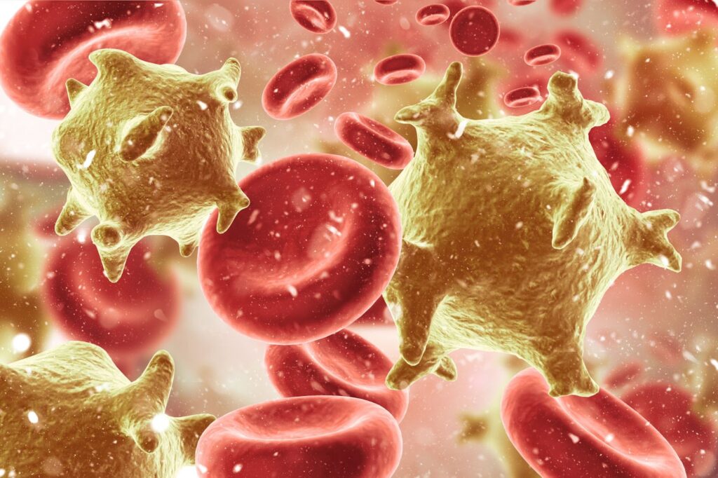 Image of blood cells and red blood cells in a blood vessel