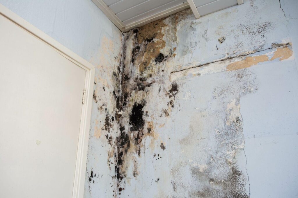 Mold-on-wall-in-room-with-door