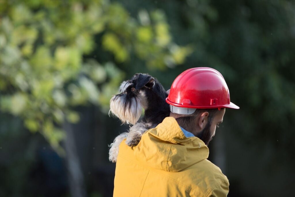 Construction worker bonding with small dog on job site