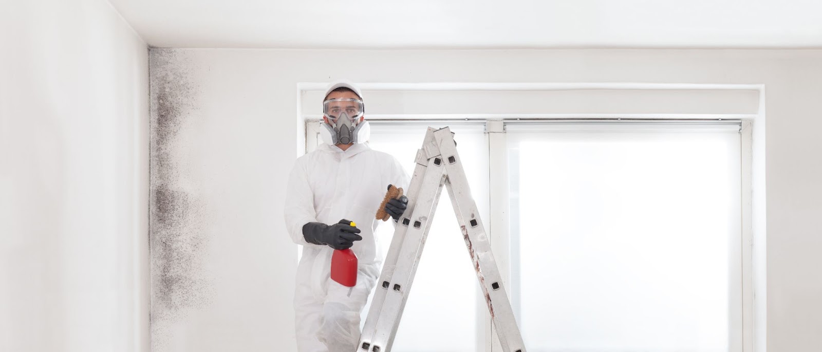 A man in a white suit stands on a ladder, addressing mold issues in a rental property during a removal process.