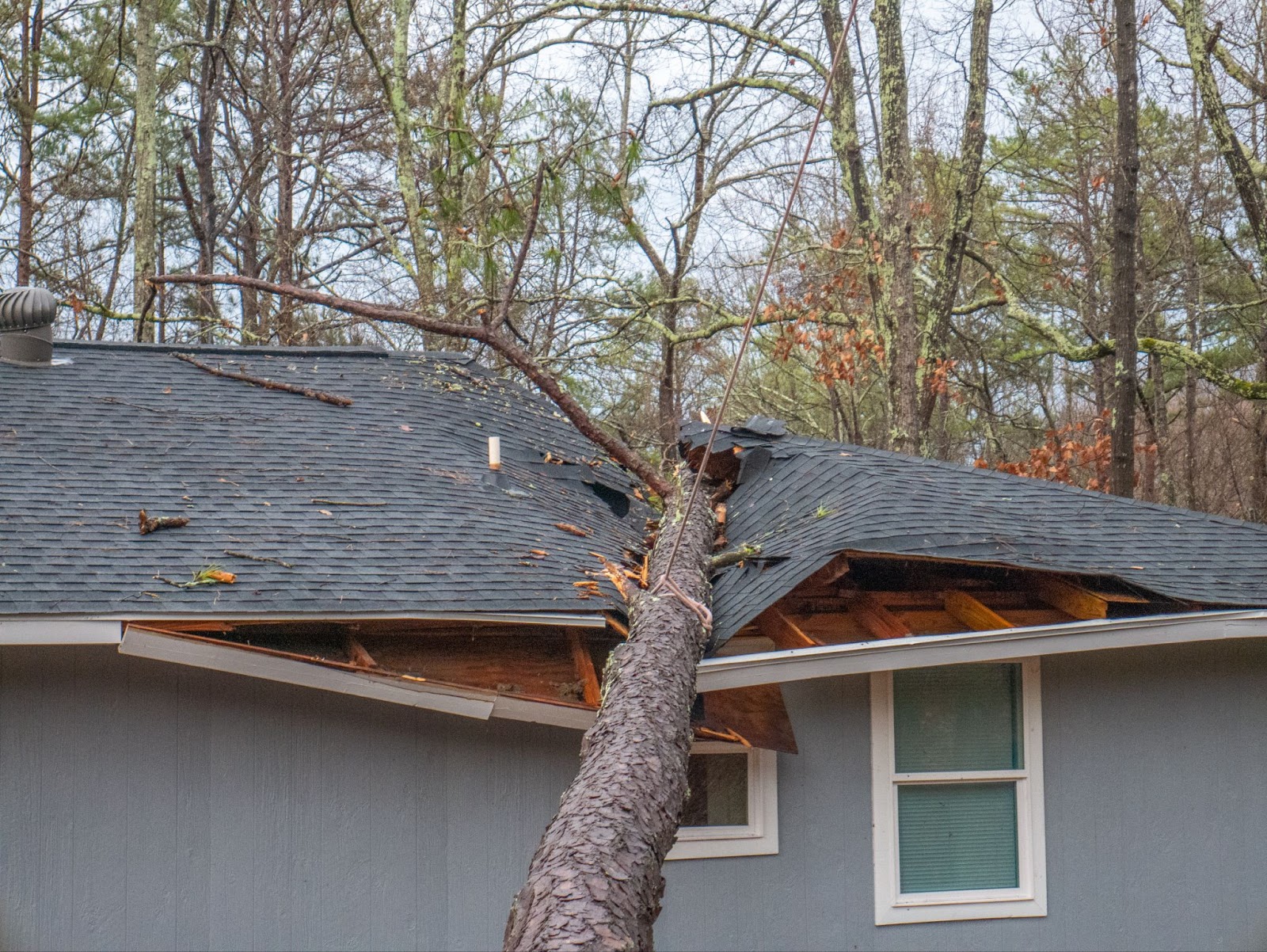 A tree leans against a house roof, showcasing storm damage that requires professional disaster cleanup services.